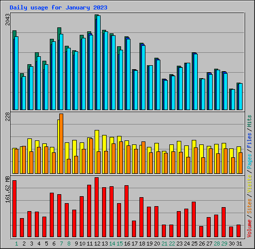 Daily usage for January 2023