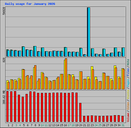 Daily usage for January 2026