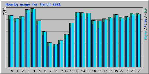 Hourly usage for March 2021