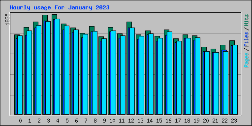 Hourly usage for January 2023