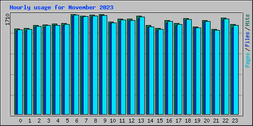 Hourly usage for November 2023