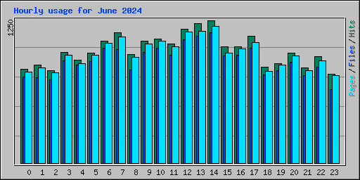 Hourly usage for June 2024