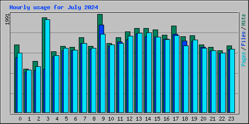 Hourly usage for July 2024