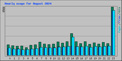 Hourly usage for August 2024