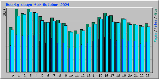 Hourly usage for October 2024