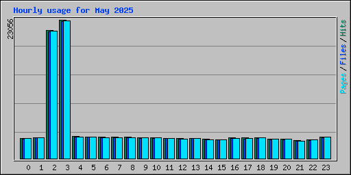 Hourly usage for May 2025