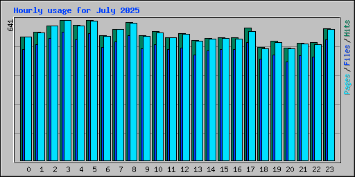Hourly usage for July 2025