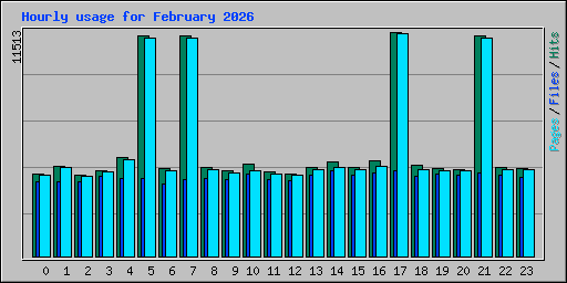 Hourly usage for February 2026