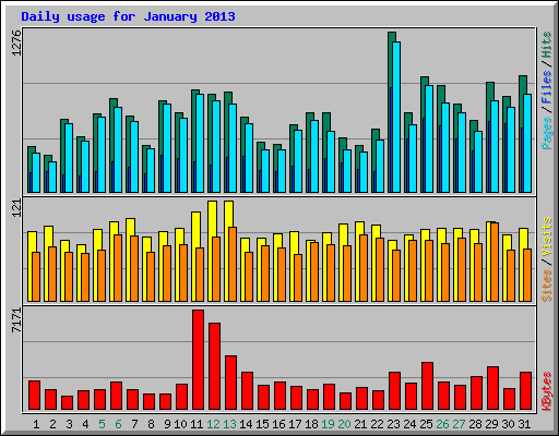 Daily usage for January 2013