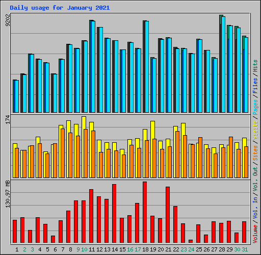 Daily usage for January 2021