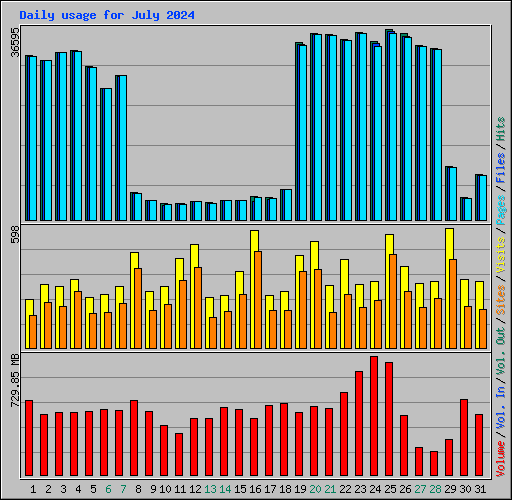 Daily usage for July 2024