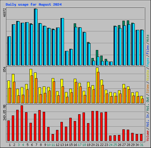 Daily usage for August 2024