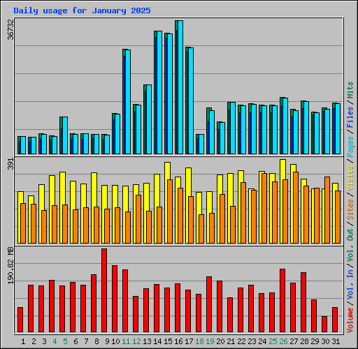 Daily usage for January 2025