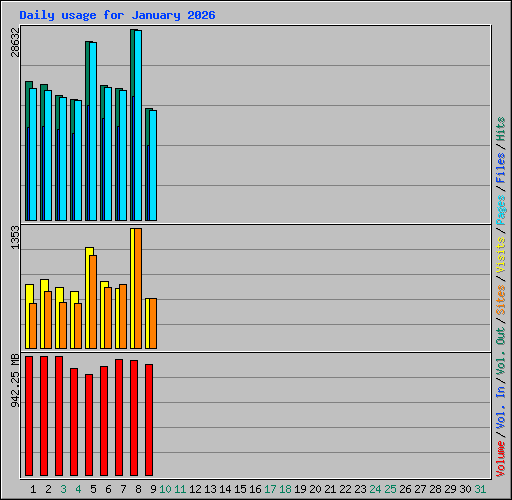 Daily usage for January 2026