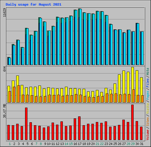 Daily usage for August 2021