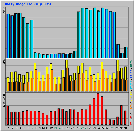 Daily usage for July 2024