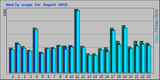 Hourly usage for August 2019
