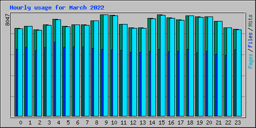 Hourly usage for March 2022