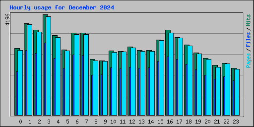 Hourly usage for December 2024