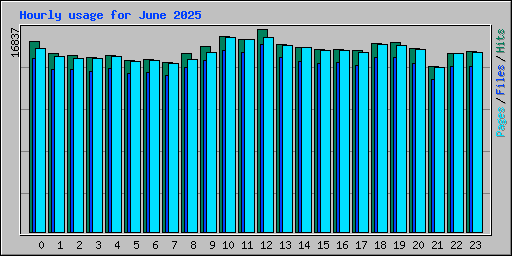 Hourly usage for June 2025
