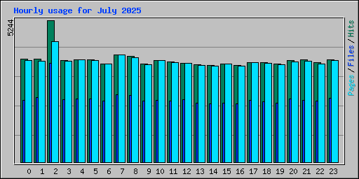 Hourly usage for July 2025