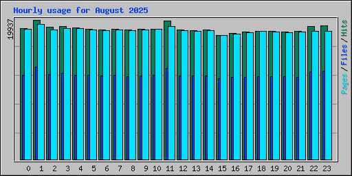 Hourly usage for August 2025