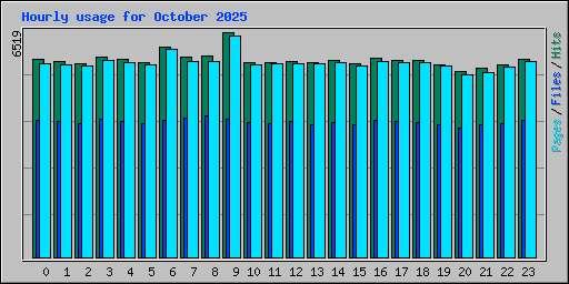 Hourly usage for October 2025