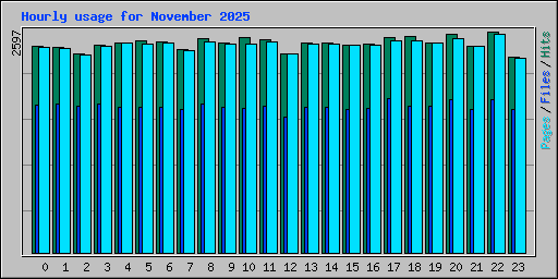 Hourly usage for November 2025
