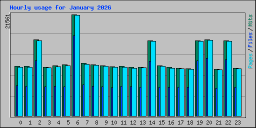 Hourly usage for January 2026