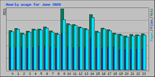 Hourly usage for June 2026