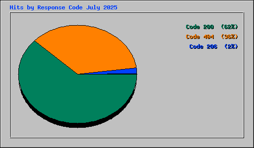 Hits by Response Code July 2025