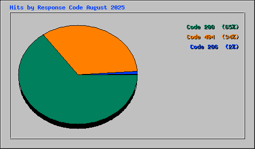Hits by Response Code August 2025