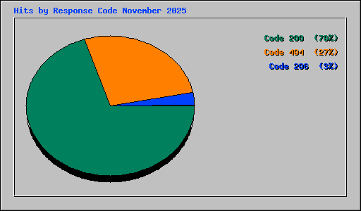Hits by Response Code November 2025