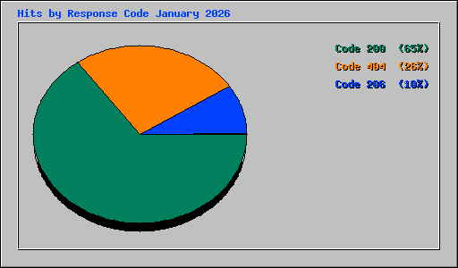 Hits by Response Code January 2026