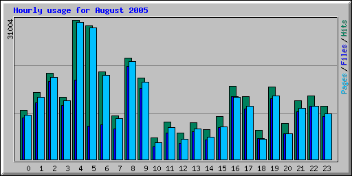 Hourly usage for August 2005