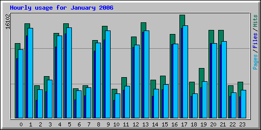 Hourly usage for January 2006