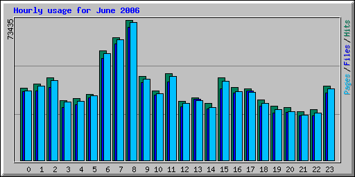 Hourly usage for June 2006