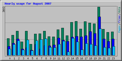 Hourly usage for August 2007