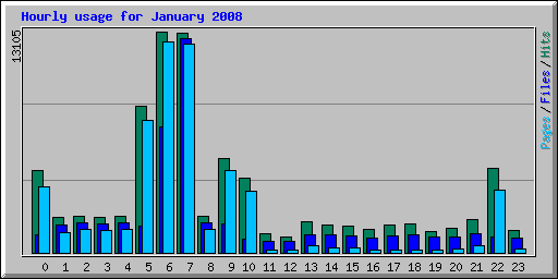 Hourly usage for January 2008