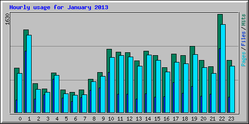 Hourly usage for January 2013