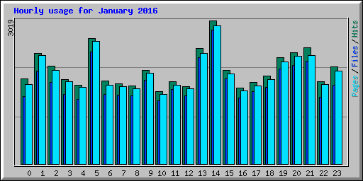 Hourly usage for January 2016