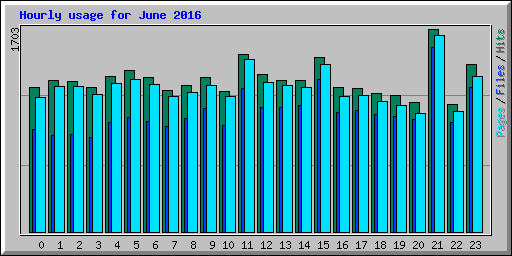 Hourly usage for June 2016