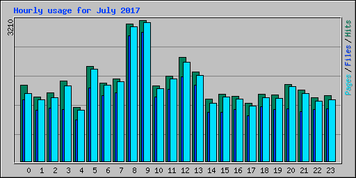 Hourly usage for July 2017