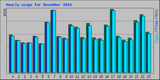 Hourly usage for December 2018