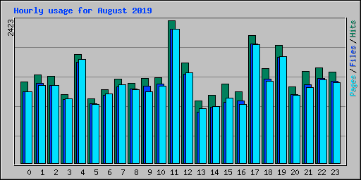 Hourly usage for August 2019