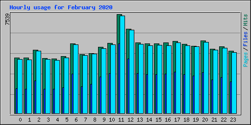 Hourly usage for February 2020