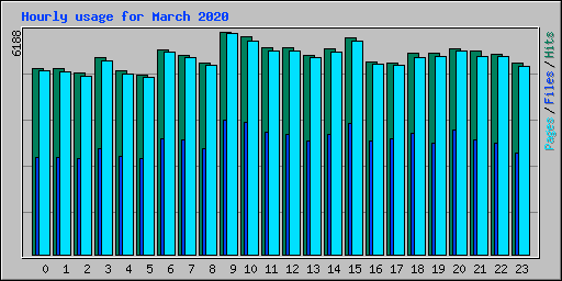 Hourly usage for March 2020