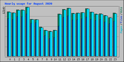 Hourly usage for August 2020