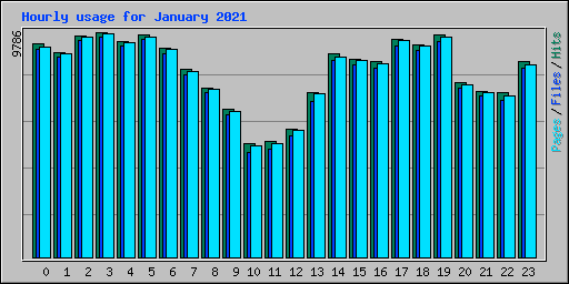 Hourly usage for January 2021