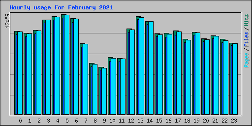 Hourly usage for February 2021